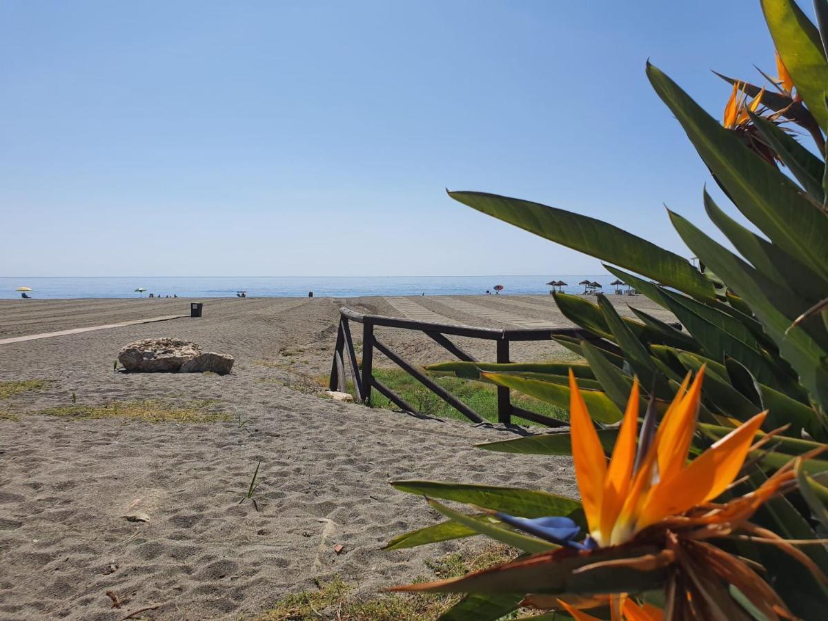 Wi-Fi Alta Velocidad De 1 Gbps Rodeado De Naturaleza Màlaga Exteriér fotografie